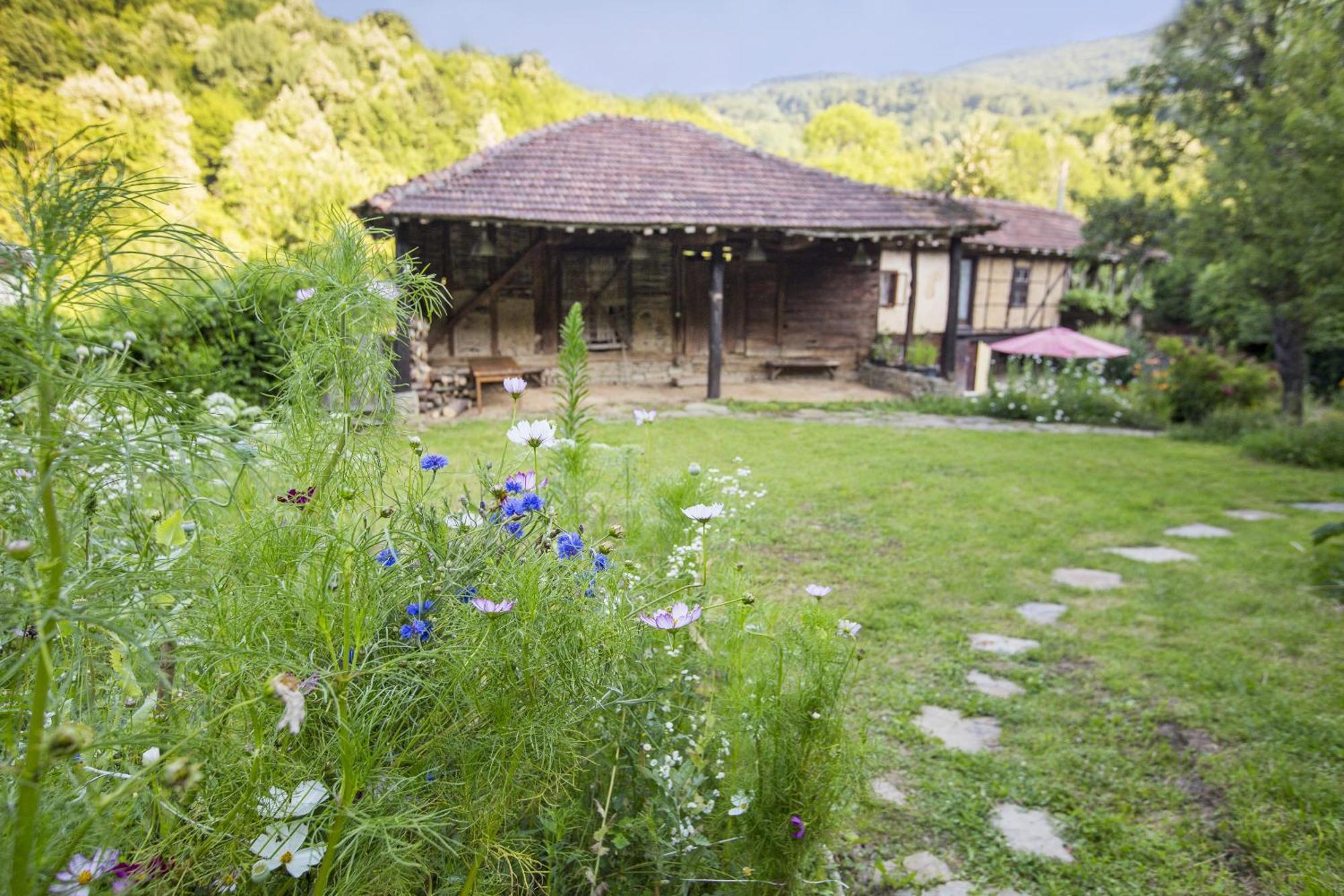 Little River Guest House Gabrovo Exterior foto
