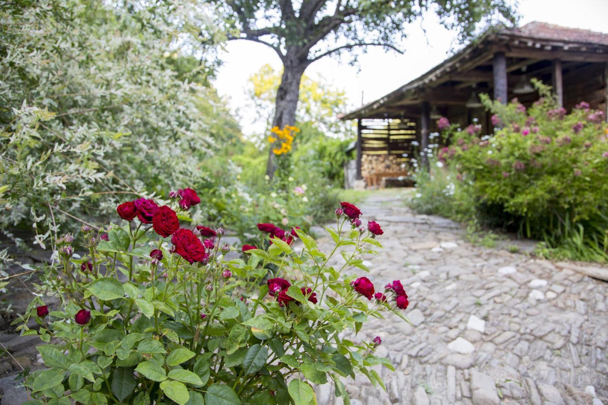 Little River Guest House Gabrovo Exterior foto